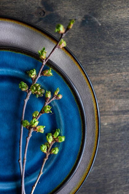 鉢の中の花の植物の高角度の視点