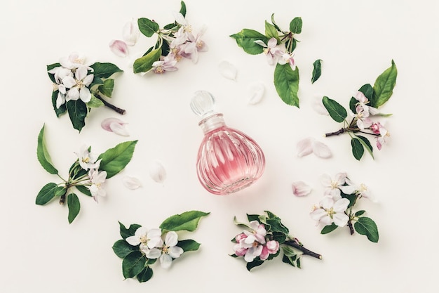 High angle view of flowering plant on table against white background