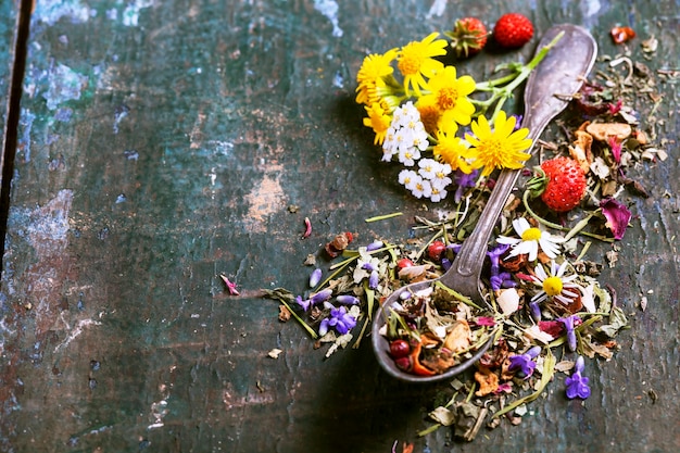 テーブルの上にある花の植物の高角度の景色