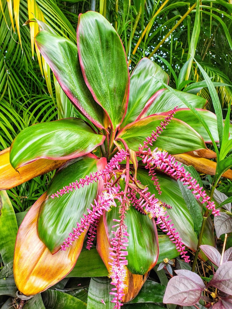 Photo 花をかせる植物の高角度の眺め