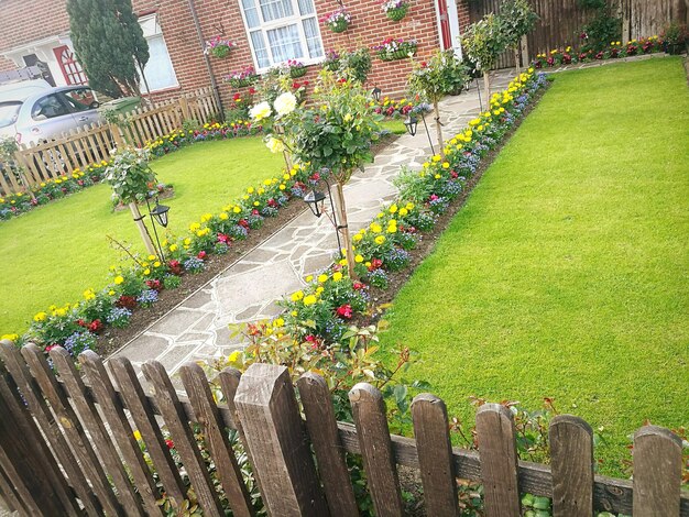 High angle view of flowering plants in lawn