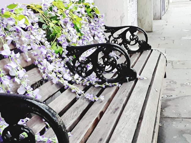 High angle view of flowering plants on table