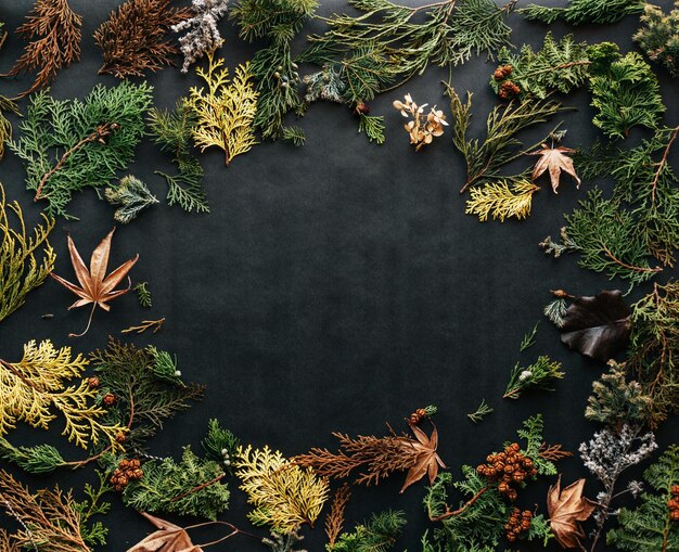 Photo high angle view of flowering plants and trees