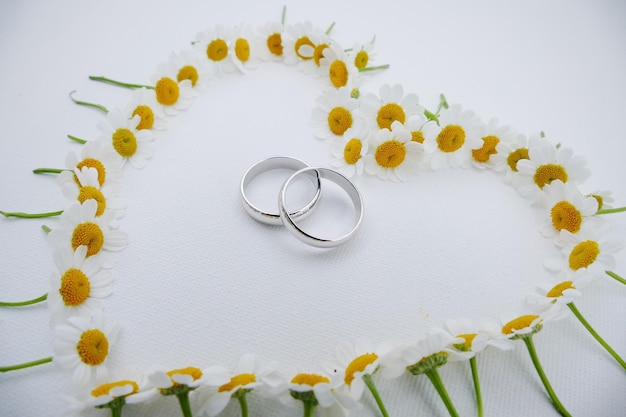 High angle view of flowers arranged in heart shape by wedding rings over white background