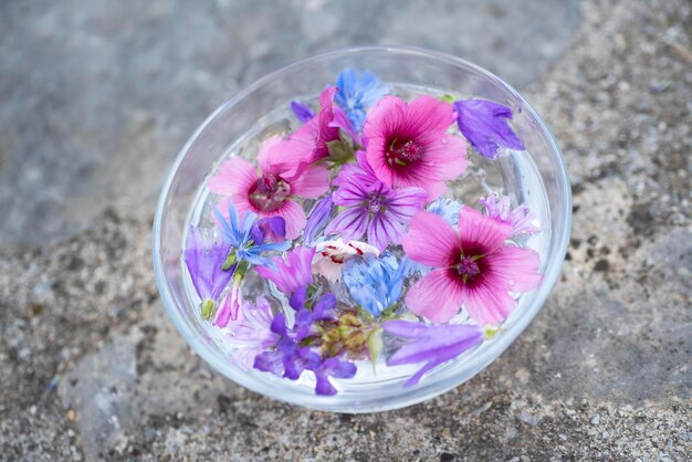 Photo high angle view of flowers in bowl outdoors