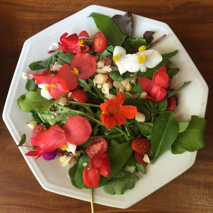 High angle view of flowers and vegetables on plate
Planthood Recipes