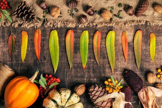 High angle view of food and fruits arranged by leaves over table