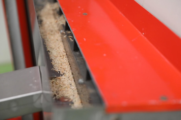 High angle view of food on metal railing