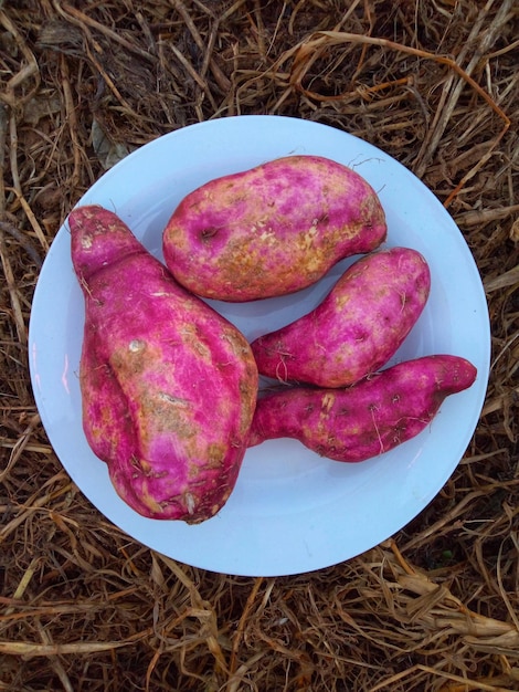 Foto vista ad alto angolo del cibo nel piatto sul campo