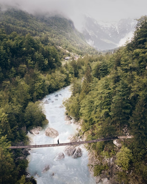 Foto vista ad alto angolo di un ponte pedonale sul ruscello nella foresta