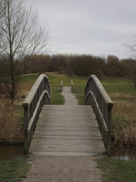 Высокоугольный вид пешеходного моста над ручьем, ведущего к полю