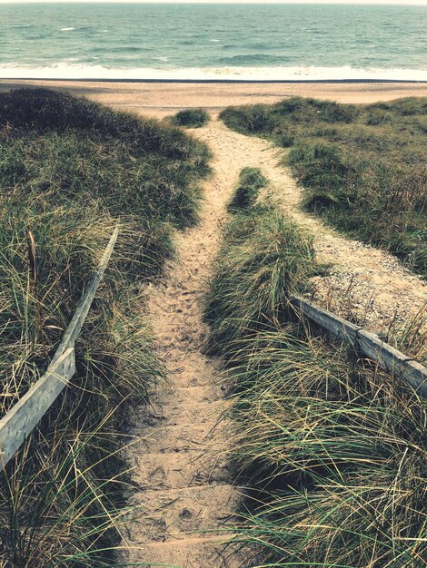 Photo high angle view of footpath at beach