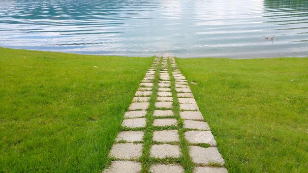 High angle view of footpath by lake