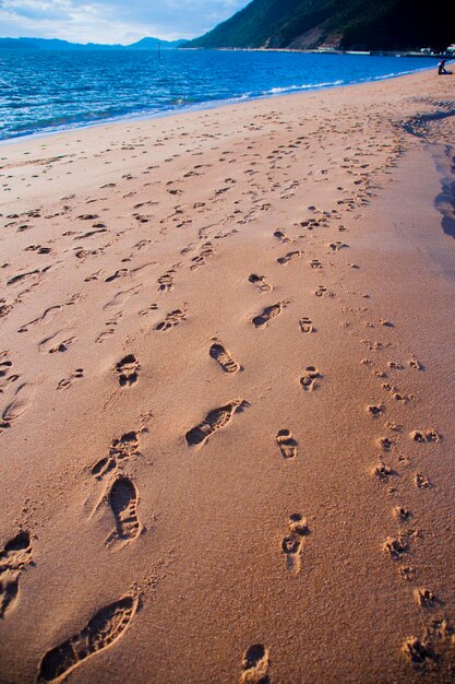 High angle view of footprints on beach