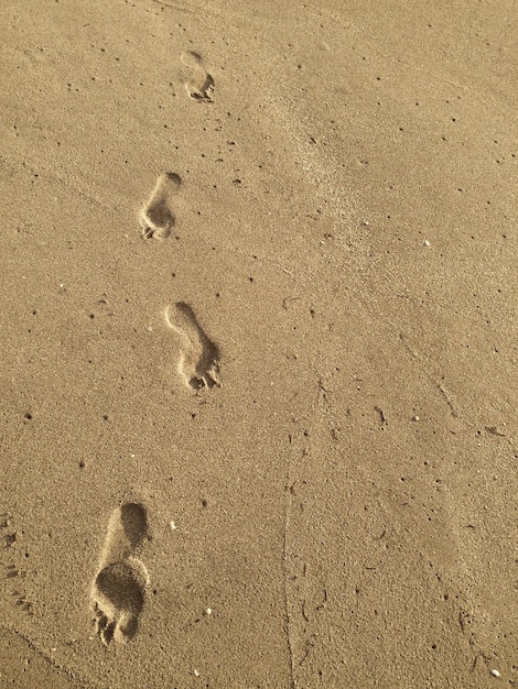 High angle view of footprints at beach