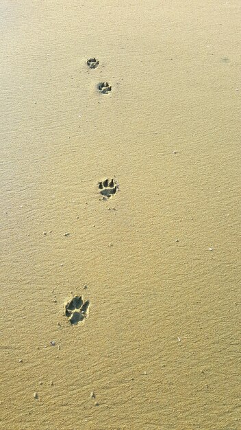 해변 의 모래 에 있는 발자국 의 높은 각도 의 모습