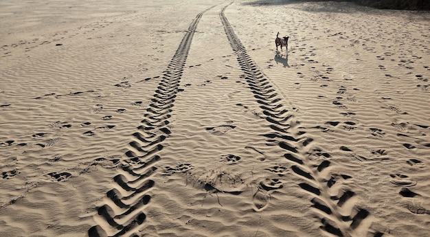 Photo high angle view of footprints on sand at beach