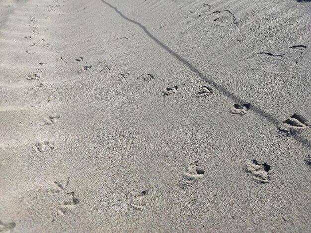 Foto vista ad alto angolo delle impronte sulla sabbia della spiaggia