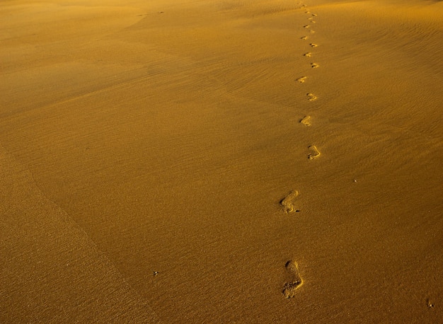 High angle view of footprints on sand at beach