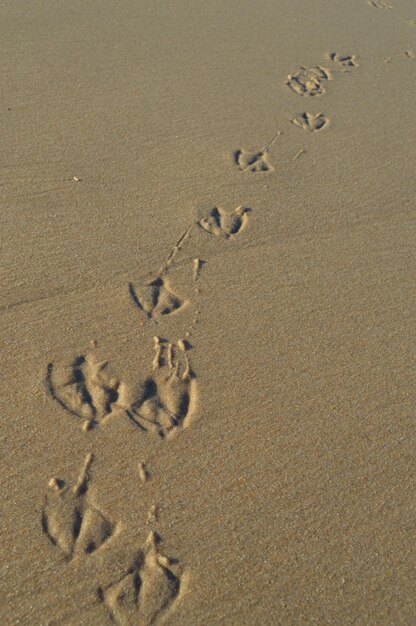 Photo high angle view of footprints on sand at beach