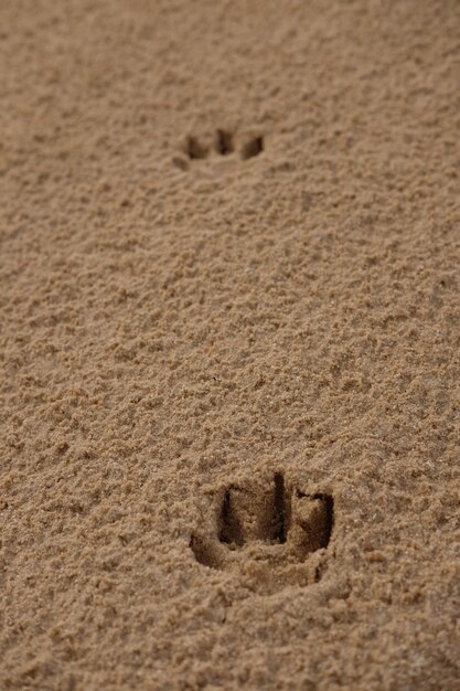 High angle view of footprints on sand at beach