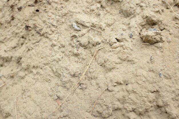 High angle view of footprints on sand