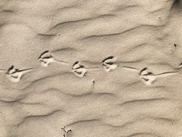 Photo high angle view of footprints on sand