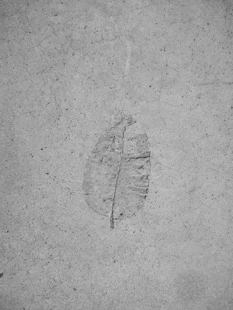 Photo high angle view of footprints on sand