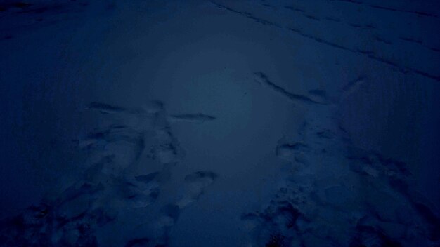 High angle view of footprints on snow covered land