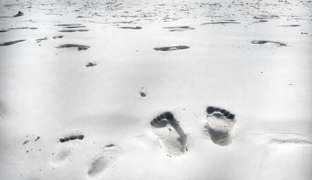 Photo high angle view of footprints on wet sand