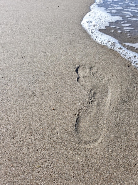 High angle view of footprints on wet sand