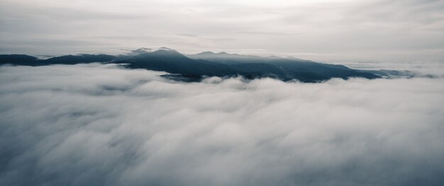 High angle view of the forest and fog in the morning,Above