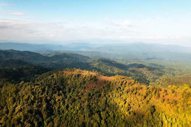 Vista ad alto angolo della foresta e delle montagne in estatealberi e foreste la sera