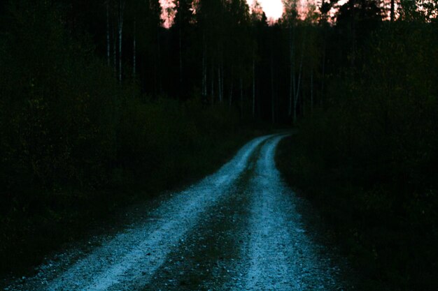 Photo high angle view of forest road