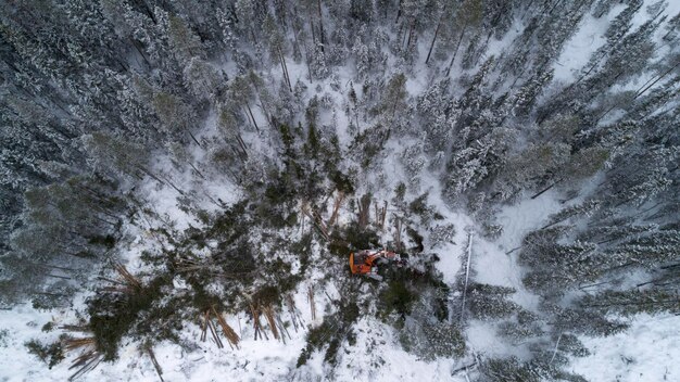 High angle view of forestry machinery in forest during winter