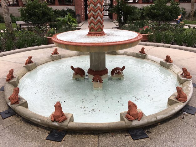 Foto vista ad alta angolazione della fontana nel parco