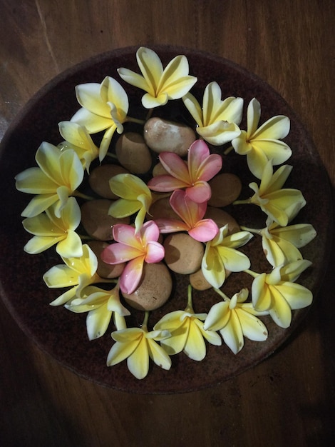 High angle view of frangipani flowers on table