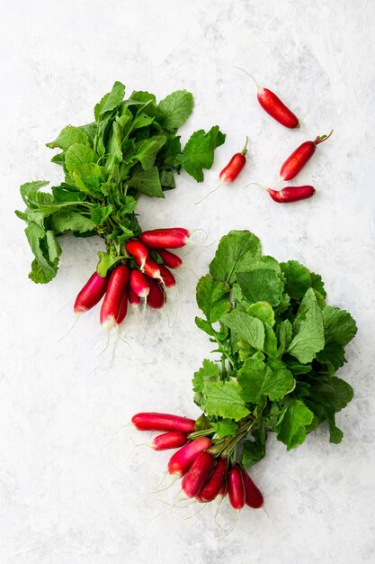 Photo high angle view of fresh radish