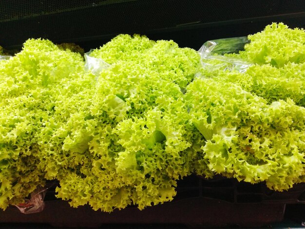 High angle view of fresh salad on display