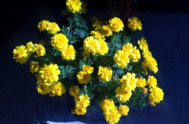 Photo high angle view of fresh yellow flowers bouquet