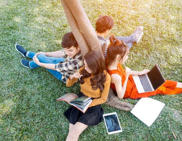 Foto vista ad alta angolazione di amici che studiano seduti accanto a un albero sul campo