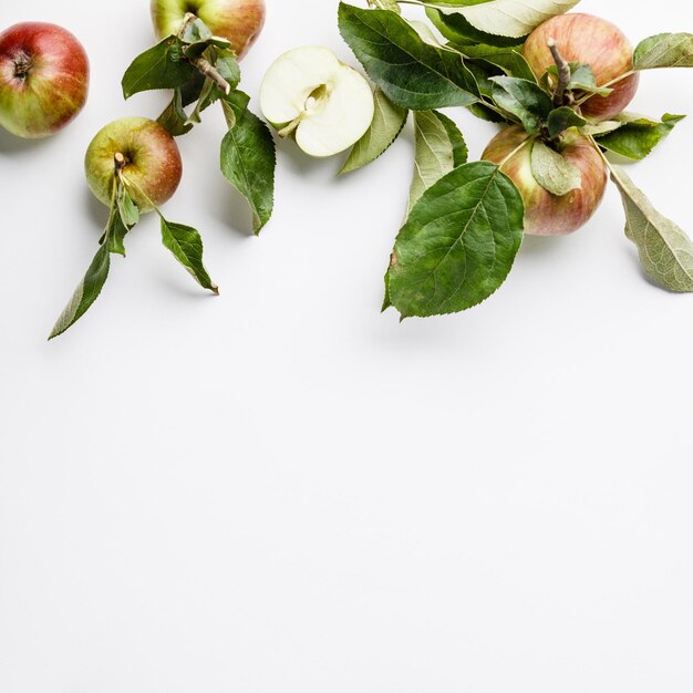 Foto vista ad alta angolazione dei frutti su sfondo bianco