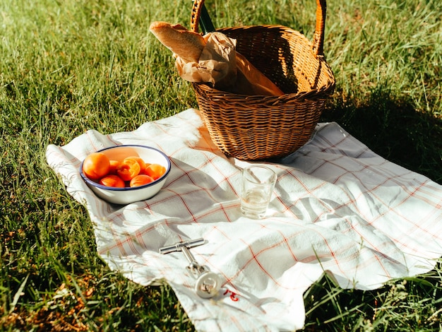 High angle view of fruits in basket on field