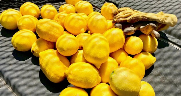 High angle view of fruits in basket