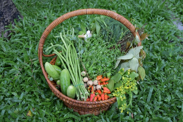 High angle view of fruits in basket