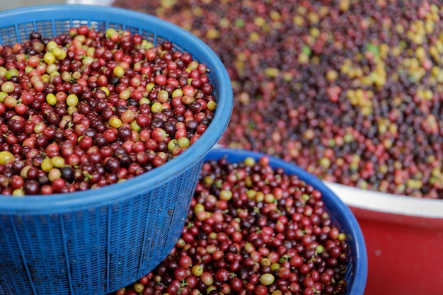 High angle view of fruits in bowl at market stall