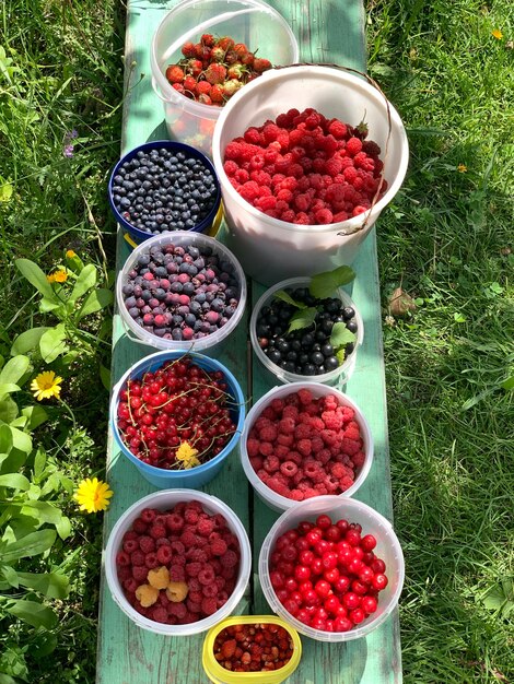 Foto vista ad alta angolazione dei frutti nella ciotola