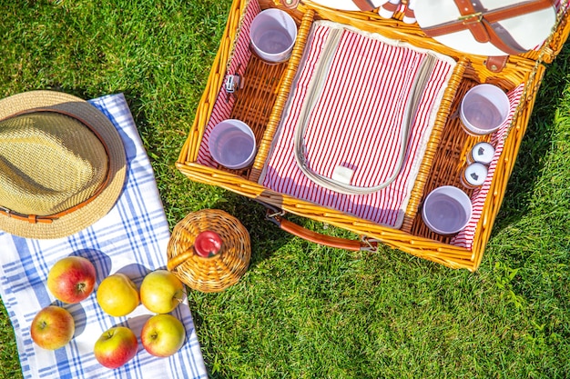 High angle view of fruits on field