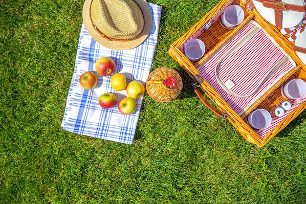 Photo high angle view of fruits on field