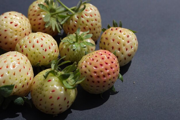 Foto vista ad alta angolazione dei frutti che crescono sui cactus